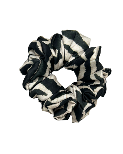 zebra standward.png